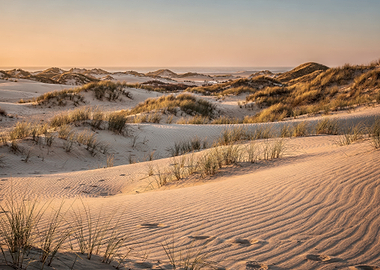 Golden Hour Sand Dunes Landscape