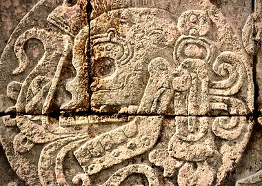 Mayan Ballgame Winner Representation