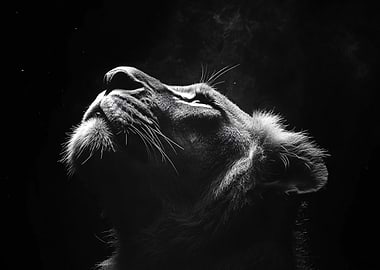 Majestic Lion Profile in Black and White