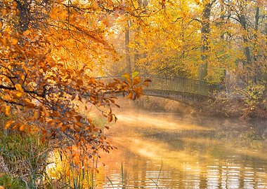 Misty Autumn Bridge Over River