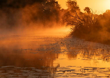 Golden Sunrise Over Misty River