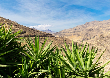 Grand Canary Mountain Landscape