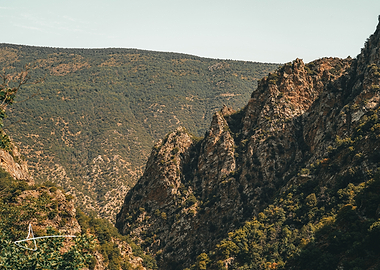 Rugged Mountain Landscape with Forest
