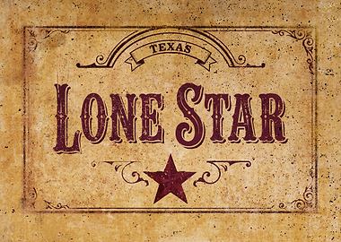 Vintage Texas Lone Star Sign