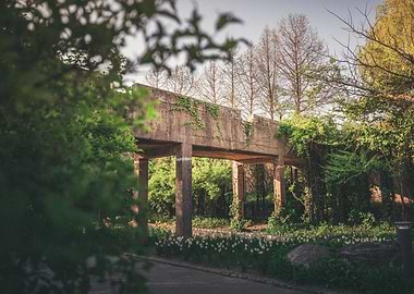 Overgrown Concrete Bridge in Garden