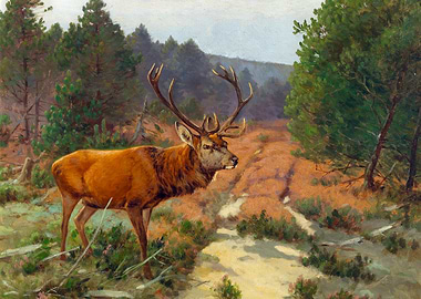 Stag Deer in the Forest Clearing Painting by Christoffer Drathmann