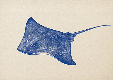 Blue Stingray Illustration
