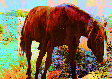 Fine Art Stallion
