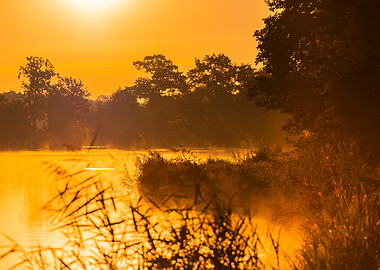 Golden Sunrise Over Misty Lake