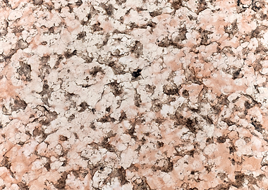 Pink marble Texture Background