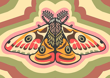 Retro Style Moth Illustration
