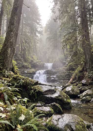 Misty Forest Waterfall Scene, metal print by Isla Elsewhere
