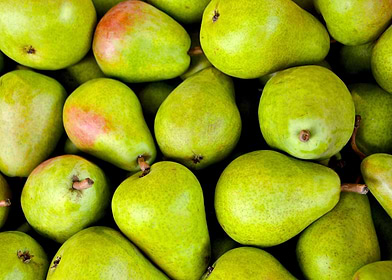 Food Posters-preview-2