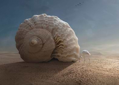 Fantasy Photography-preview-0