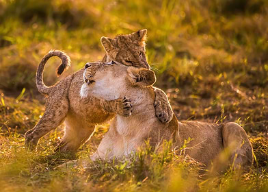 Valentines-preview-2