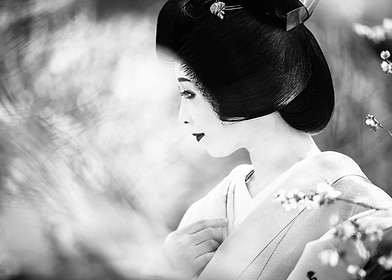 Japan-preview-2