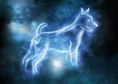 Expecto Patronum!