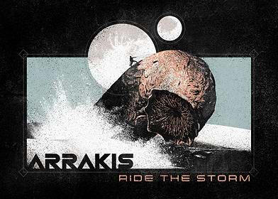 Bold & Graphic-preview-2