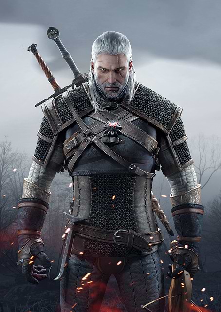 The Witcher / platina