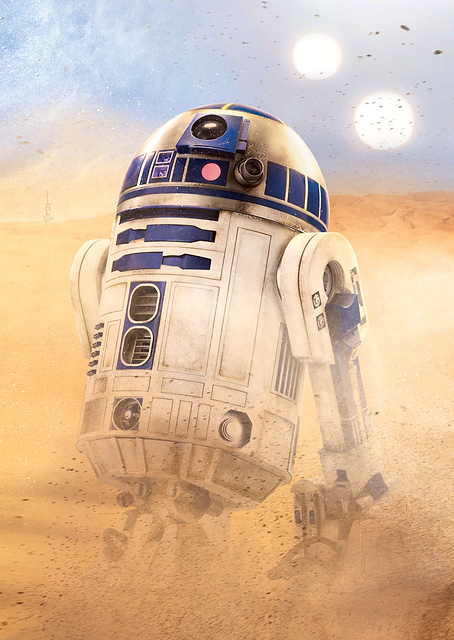 R2D2 / PLATINA