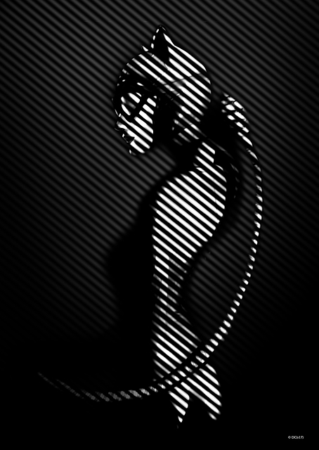 Catwoman / PLATINA