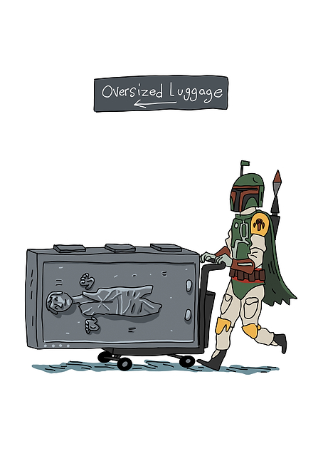 Luggage / PLATINA
