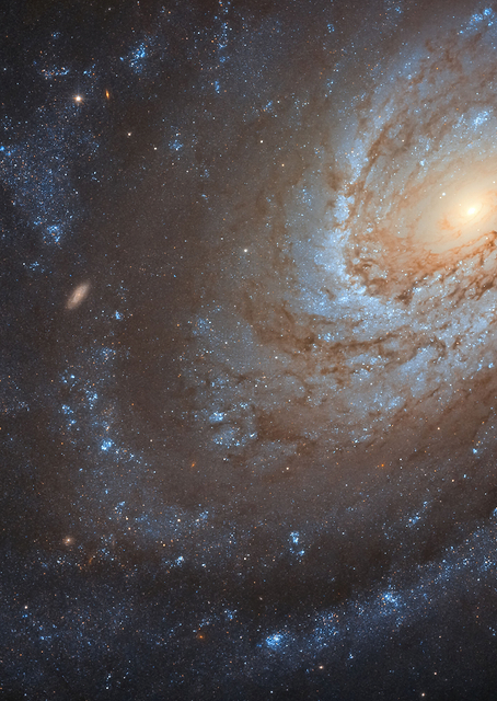 NGC 4651 galaxy / PLATINA