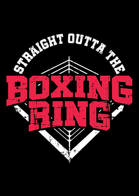 Boxing Gym Gift MMA / platina