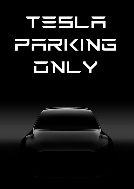 Tesla Parking / PLATINA