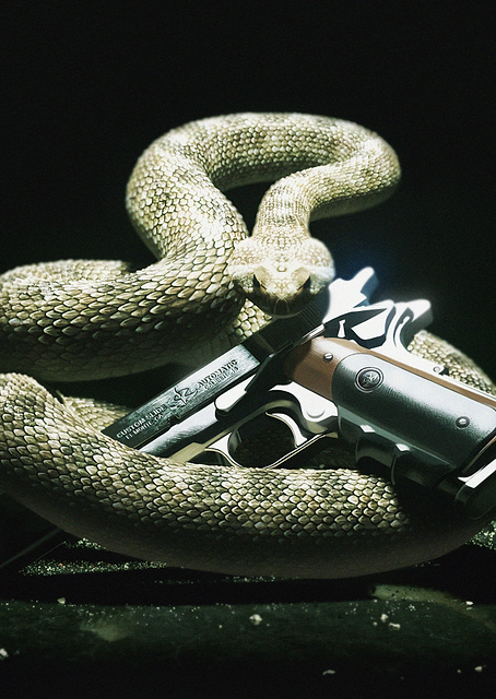 Diamondback / PLATINA