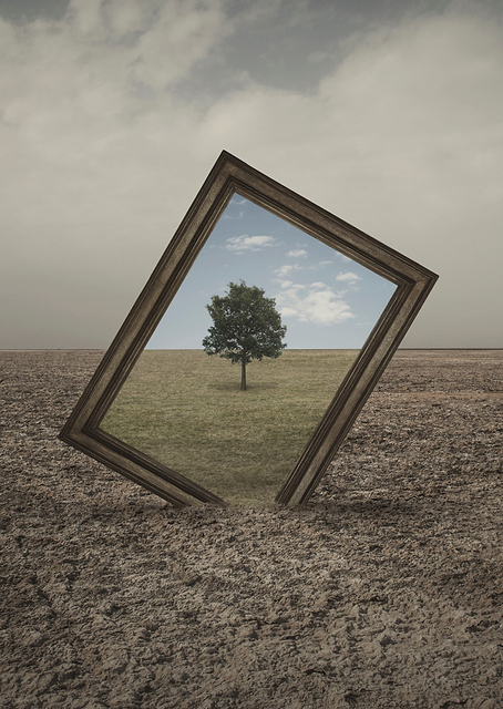 Framed Tree / PLATINA
