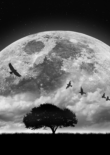 Full Moon / PLATINA