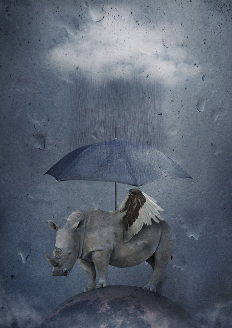 Rainy Rhino / PLATINA