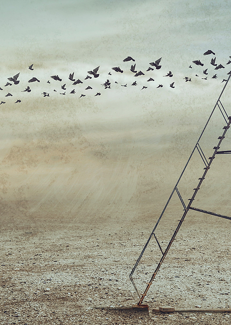 Birdhouse / PLATINA
