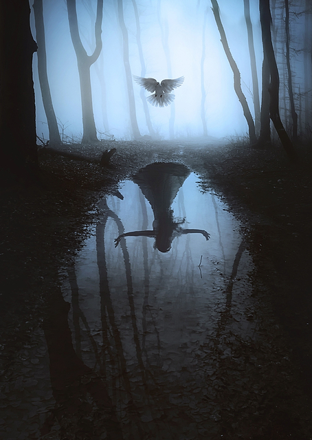 Reflection / PLATINA