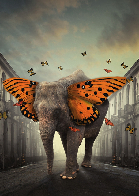 Fantastic Elephant / PLATINA