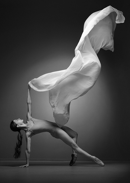 Art of Movement / PLATINA