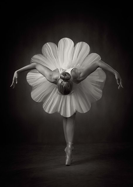 Floral Ballet / PLATINA