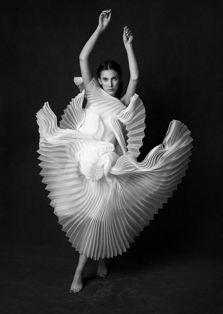 Swan Lake / PLATINA