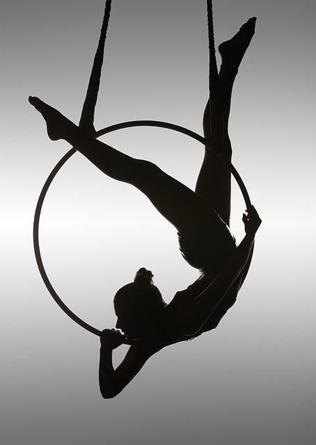 The Aerialist / PLATINA