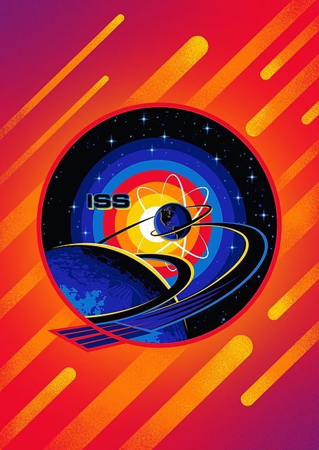 Expedition 63 / PLATINA