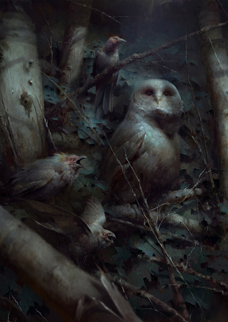 Forest Birds / PLATINA