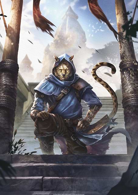 Khajiit / platina