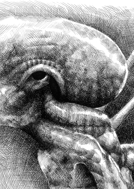 Young Alien Left Profile Sketch / PLATINA