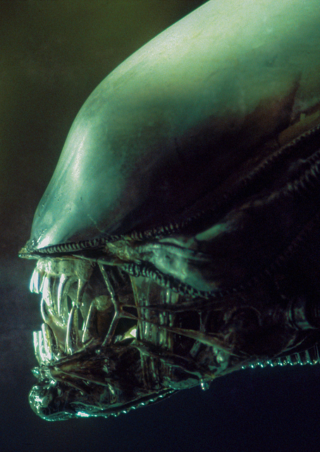 Alien`s Teeth / PLATINA
