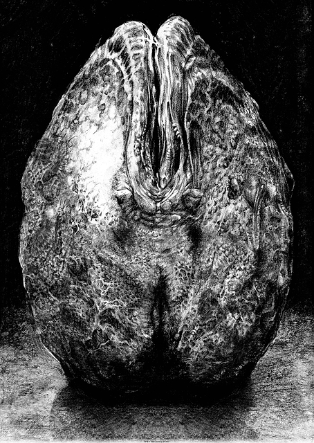 Alien Egg Stage 2 Sketch / PLATINA
