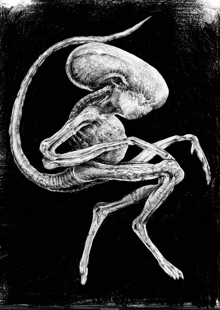 Alien Creature Development Black / PLATINA