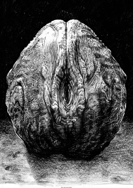 Alien Egg Stage 1 Sketch / PLATINA