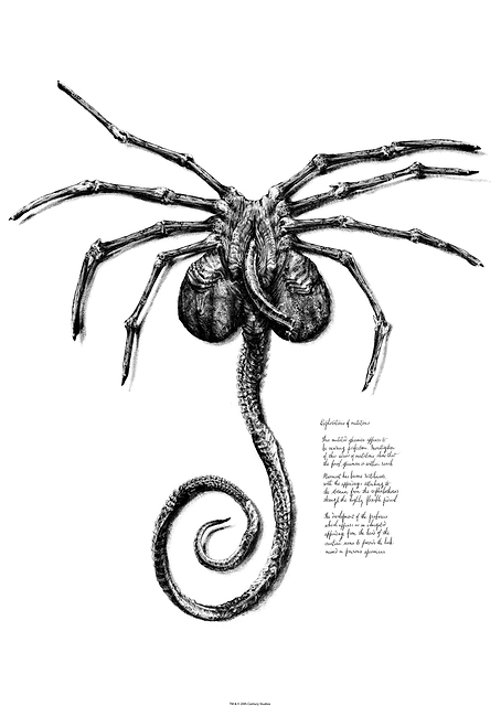 Explorations Of Mutations Sketch / PLATINA