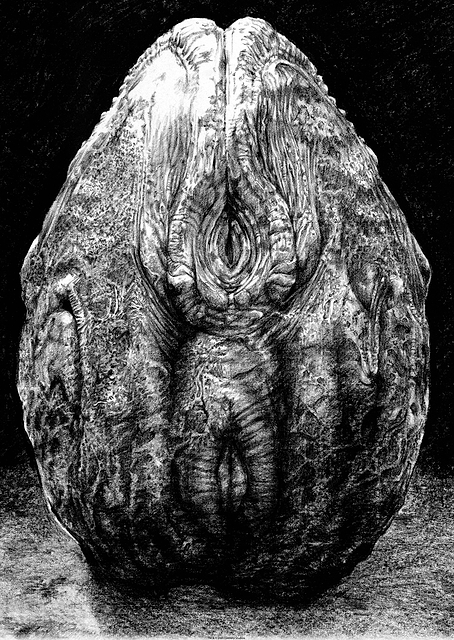 Alien Egg Stage 4 Sketch / PLATINA